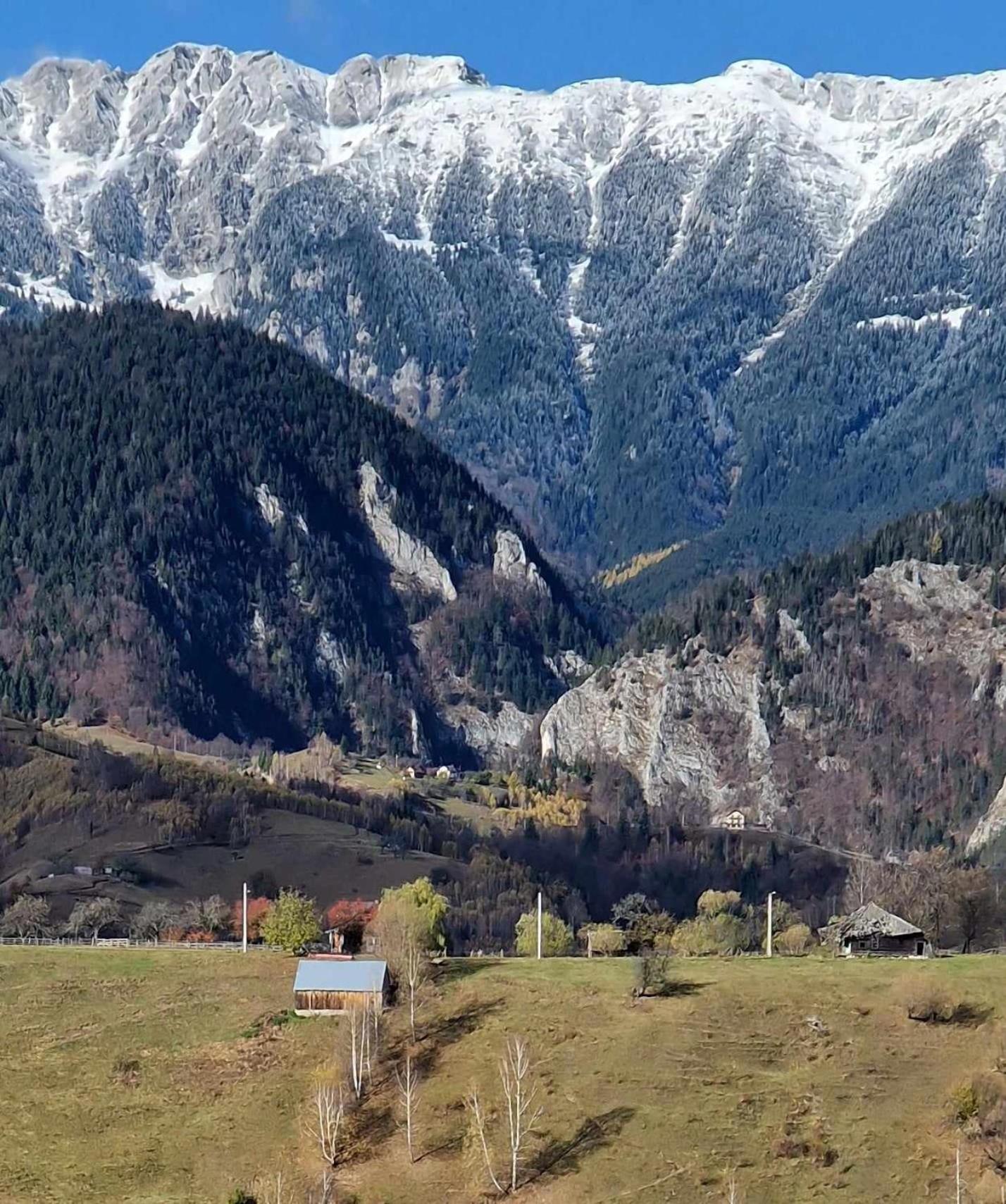 Măgura Alpine Escape Studios מראה חיצוני תמונה