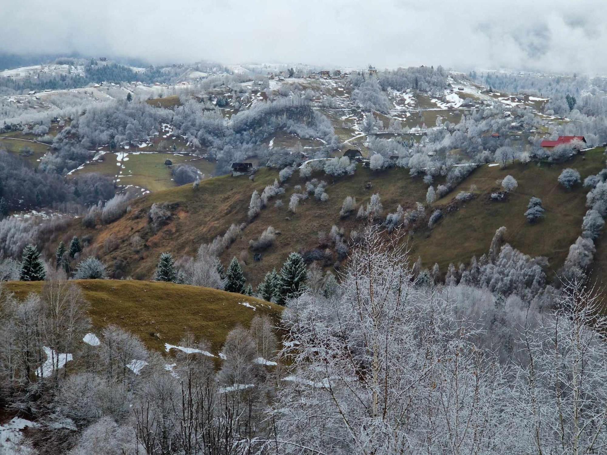 Măgura Alpine Escape Studios מראה חיצוני תמונה