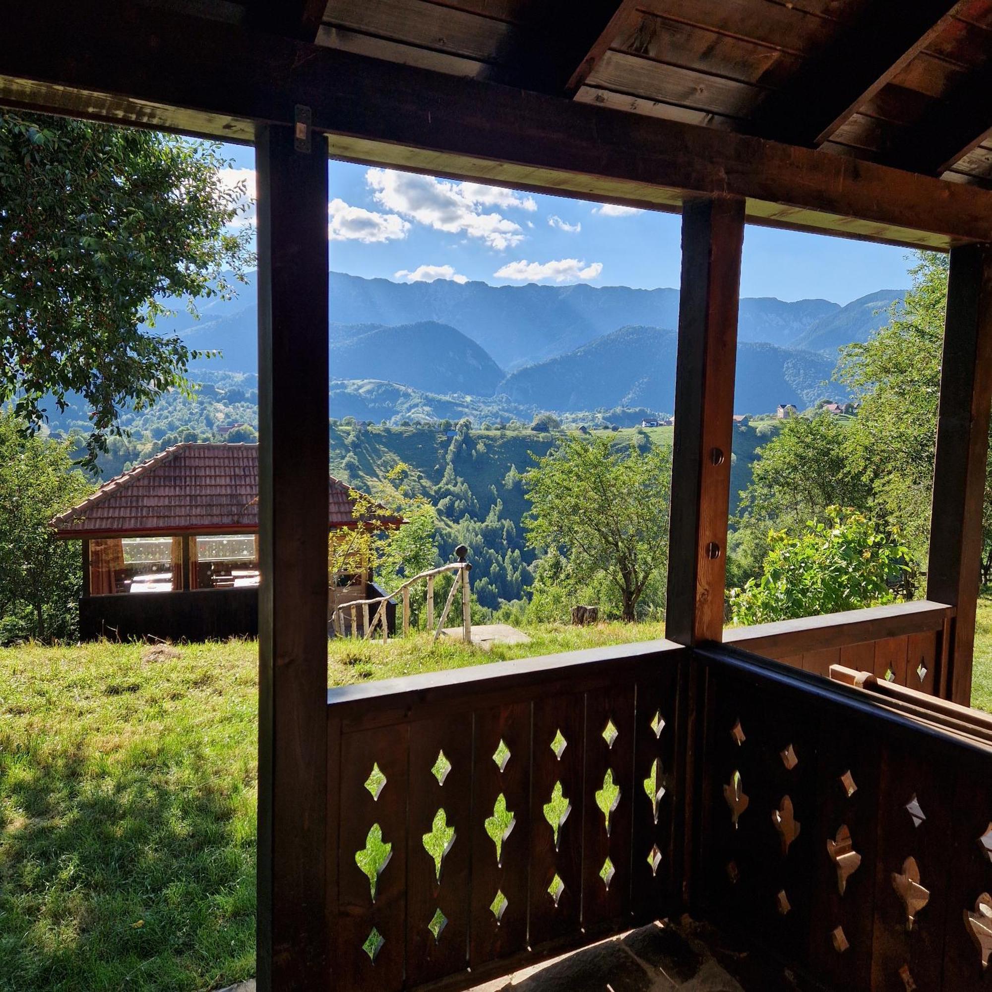 Măgura Alpine Escape Studios מראה חיצוני תמונה