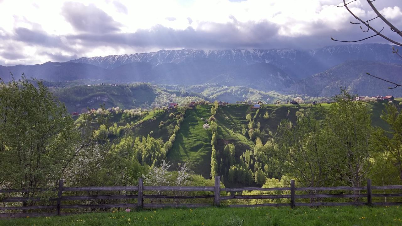 Măgura Alpine Escape Studios חדר תמונה