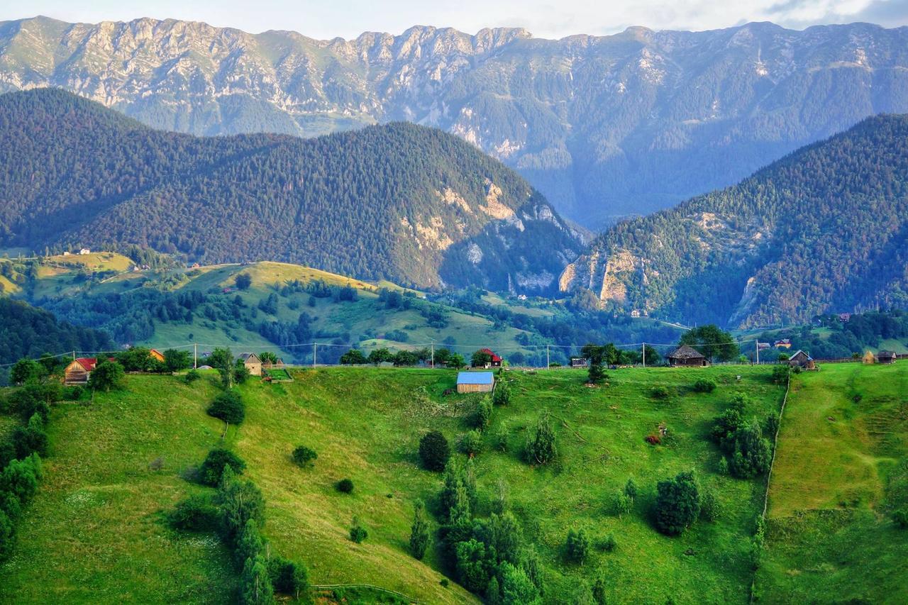 Măgura Alpine Escape Studios מראה חיצוני תמונה