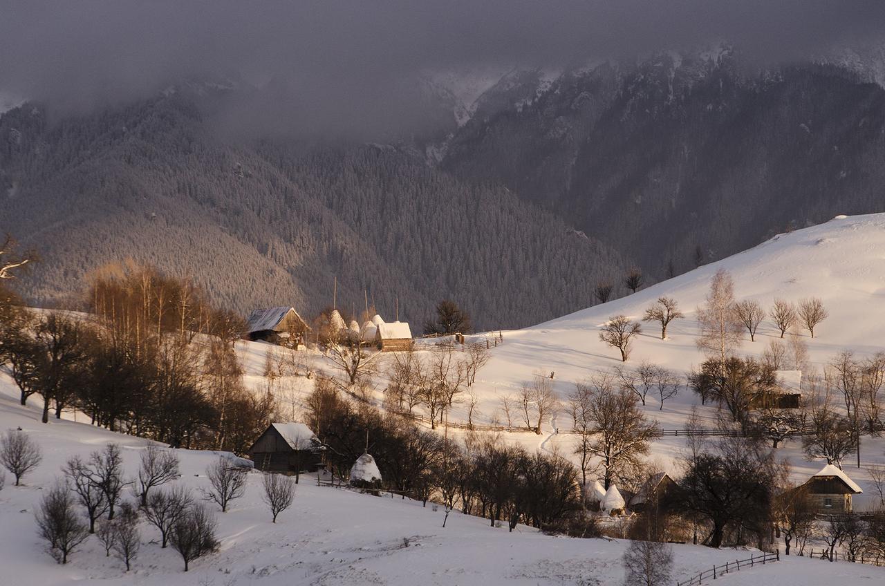 Măgura Alpine Escape Studios מראה חיצוני תמונה